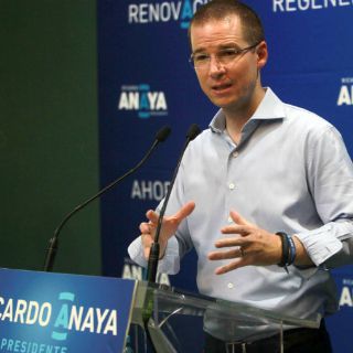 El PAN busca ahorrar en gastos y activar el trabajo en el partido