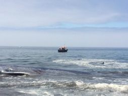 El naufragio se produjo cuando la pequeña embarcación navegaba por el lago Riñihue. EFE / Armada de Chile