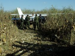 El percance ocurre en una parcela agrícola del Valle de Yaqui, al sur de la entidad. EL INFORMADOR / ARCHIVO
