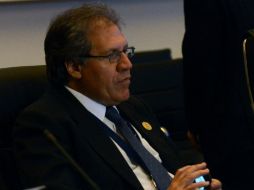 Luis Almagro felicitó a todos los países que han elegido nuevos gobierno en las urnas este año. AFP / ARCHIVO