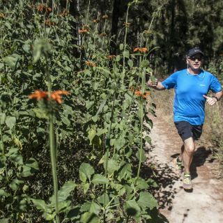 Buscarán recursos privados para mantener las unidades