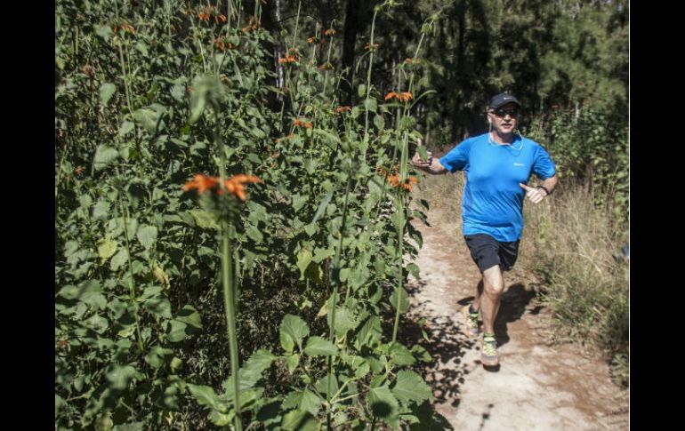 Maleza crecida y arbustos, la constante para quienes practican deporte en Los Colomos. Descartan que haya vandalismo. EL INFORMADOR / R. Tamayo