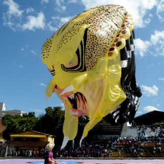 Colombia despide el año con globos solares de clásicos del cine