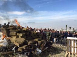 La droga destruida equivale a 38 millones 129 mil 700 pesos. TWITTER / @victorzamorardz