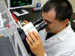 El nuevo elemento sintético cuenta con 113 protones en su núcleo. EFE / ARCHIVO