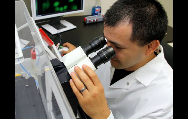 El nuevo elemento sintético cuenta con 113 protones en su núcleo. EFE / ARCHIVO