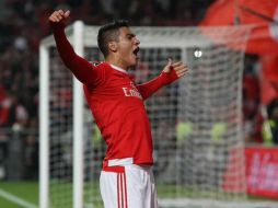 Este sábado 2 enfrentarán al Vitória Guimaraes. TWITTER / @Raul_Jimenez9