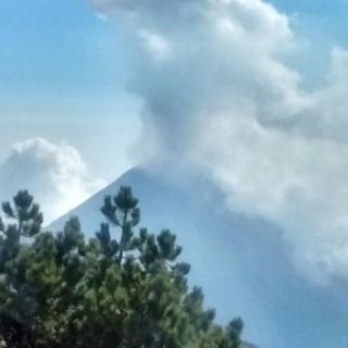 Volcán El Colima lanza fumarola de 1.2 kilómetros de altura