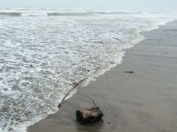 El Centro de Alerta de Ciclones Tropicales alertó sobre el peligró de los vientos destructivos y la elevación del nivel del mar. EL INFORMADOR / ARCHIVO