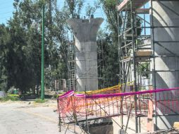 Por cada árbol afectado por la obra, deberán plantarse cinco nuevos ejemplares, según datos de la Semadet. EL INFORMADOR / R. Tamayo