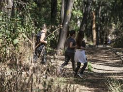 Se plantea la creación de una unidad policial que vigilará todas las áreas recreativas. EL INFORMADOR / ARCHIVO