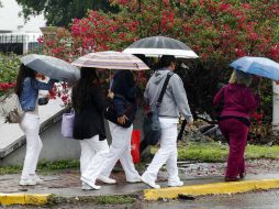 Según los pronósticos meteorológicos a partir de este domingo empezaran a mejorar las condiciones del clima. EL INFORMADOR / ARCHIVO