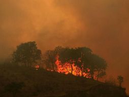 La mayoría de los incendios en 2015, se concentró en los últimos cinco meses del año. EL INFORMADOR / ARCHIVO