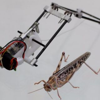 Crean robot miniatura para labores de rescate en catástrofes