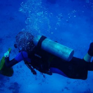 Pilar Luna, arqueóloga del INAH, obtiene Premio al Mérito en EU