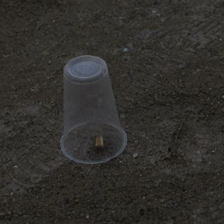 Matan a sobrino de ex gobernador de Colima