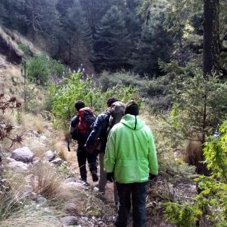 Rescatan a dos jóvenes del Nevado de Colima