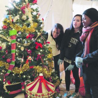 Vida nueva para el árbol de Navidad