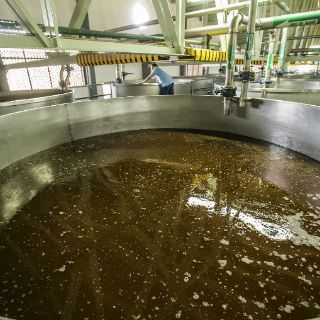 Incursionan 30 marcas de tequila en China