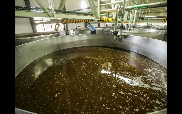 En México se venden al año 80 millones de litros; otros 181.5 millones de litros se van al extranjero. EL INFORMADOR / ARCHIVO