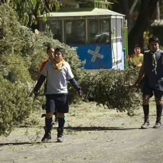 Zapopan realiza campaña de acopio de árboles navideños