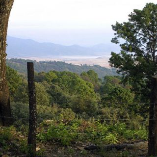 La Conafor crea fondo para contingencias ambientales