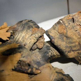 Hallan bacteria estomacal en la momia Ötzi