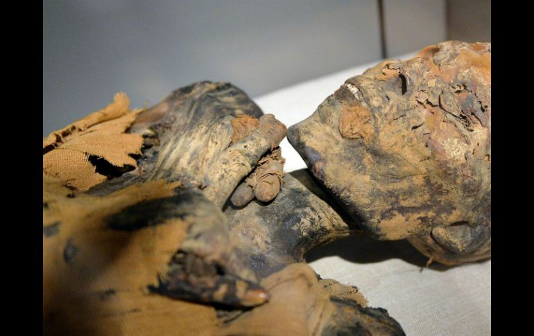 Buscan profundizar para entender cómo es que esta bacteria se desarrolló en los humanos. EFE / ARCHIVO