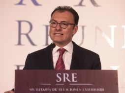 En Twitter, Videaray escribió 'Muchas felicidades al Pte EPN y al gabinete de seguridad que encabeza Osorio Chong'. EFE / ARCHIVO