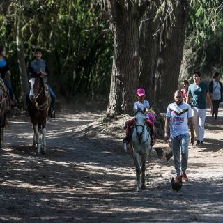Alfaro y Aristóteles prometen defender a Los Colomos