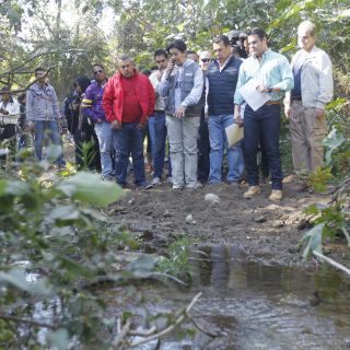 Defenderán 'con toda la fuerza del Estado' al Bosque de Los Colomos