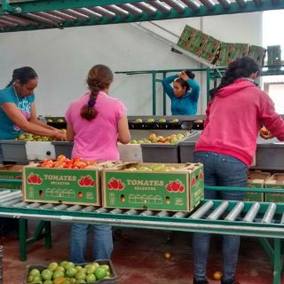 Menor inversión y gasto delinean menos empleos