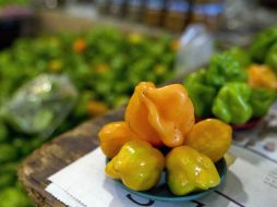 El chile habanero es uno de los picantes que más 'enchilan', señalan expertos. NTX / ARCHIVO