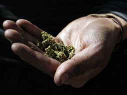 En el sitio podrán encontrar información sobre legislaciones de otros países. EL INFORMADOR / ARCHIVO