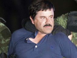 Señalan que 'El Chapo' se fiaba de los calabreses, porque 'son muy duros, más que los colombianos o los peruanos'. AP / ARCHIVO