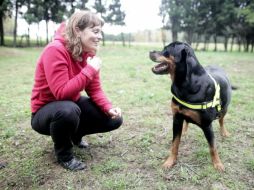 Un perro puede reconocer el estado de ánimo de una persona, capacidad que hasta ahora sólo se le atribuía al hombre. EFE / ARCHIVO