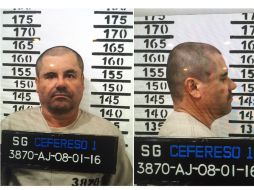 'Popeye' dijo que la figura del 'Chapo' al igual que la de Escobar despierta gran fascinación entre algunos. EFE /