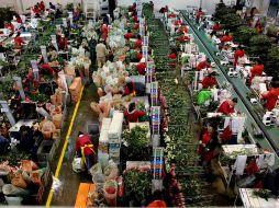 Los puestos de trabajo creados en la primera mitad del sexenio de Peña Nieto suman un millón 821 mil 990 empleos. EFE /