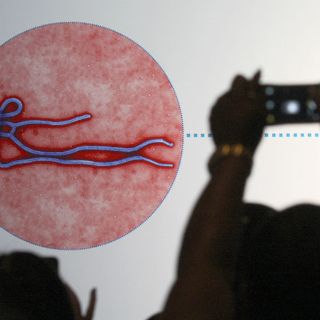 Rusia registra patente de medicamento contra el ébola