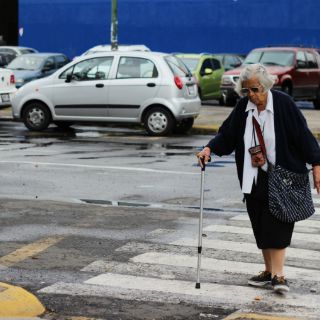 Ácido úrico elevado en la sangre protegería del Parkinson