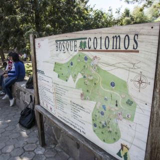 Iniciarán análisis legislativo para proteger a Los Colomos