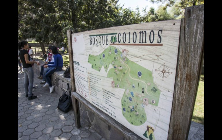 Señalan que existe voluntad entre los diferentes niveles para evitar que otorguen licencias en áreas naturales protegidas. EL INFORMADOR / ARCHIVO