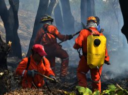 Jalisco ocupa el tercer lugar en la lista de entidades de la República con mayor número de incendios. EL INFORMADOR / ARCHIVO