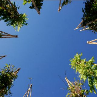 El cosmos, la naturaleza y la poesía en el Museo Experimental El Eco