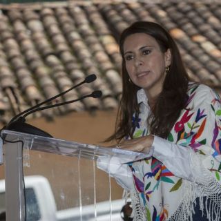 Caso Moreira debe aclararse en los tribunales: Viggiano