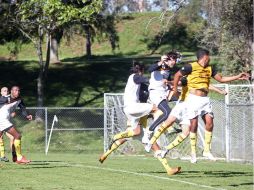 Los universitarios van por sus segundos tres puntos, cuando hoy visiten a los Alebrijes. EL INFORMADOR / M. Vargas