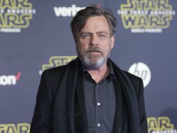 Hamill se une para que las medidas de protección válidas para los artículos de colección se extiendan. AFP / ARCHIVO