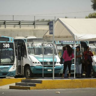 La Semov espera recibir el registro de transporte este mes