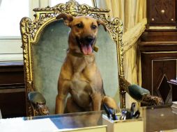 Las redes sociales se inundaron de comentarios a favor y en contra. FACEBOOK / Mauricio Macri