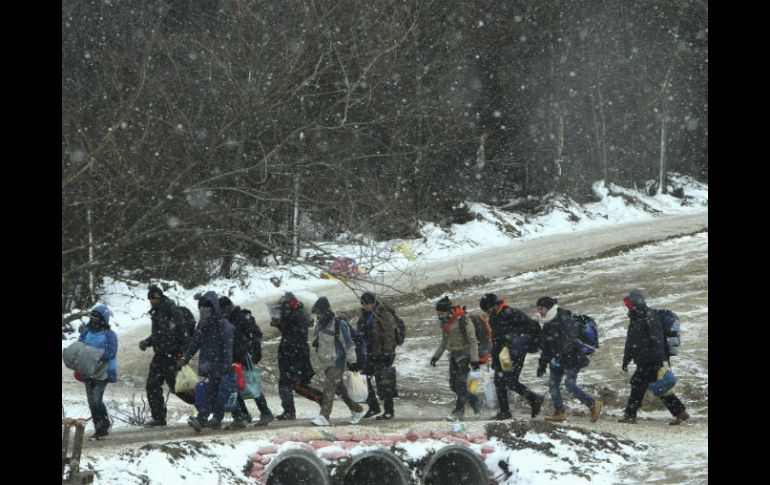 El programa de regreso comienza después de que Rusia acordó que Noruega podría devolver a los migrantes con un visado. EFE / D. Savic